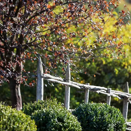 Bed and Breakfast Tenuta Moncarlino