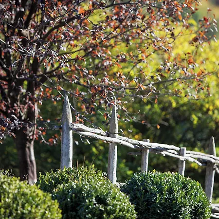 Tenuta Moncarlino