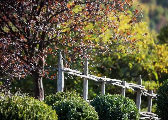 Bed & Breakfast Tenuta Moncarlino
